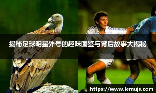 星空电竞(StarSky Sports)官网-华语电竞行业引领者